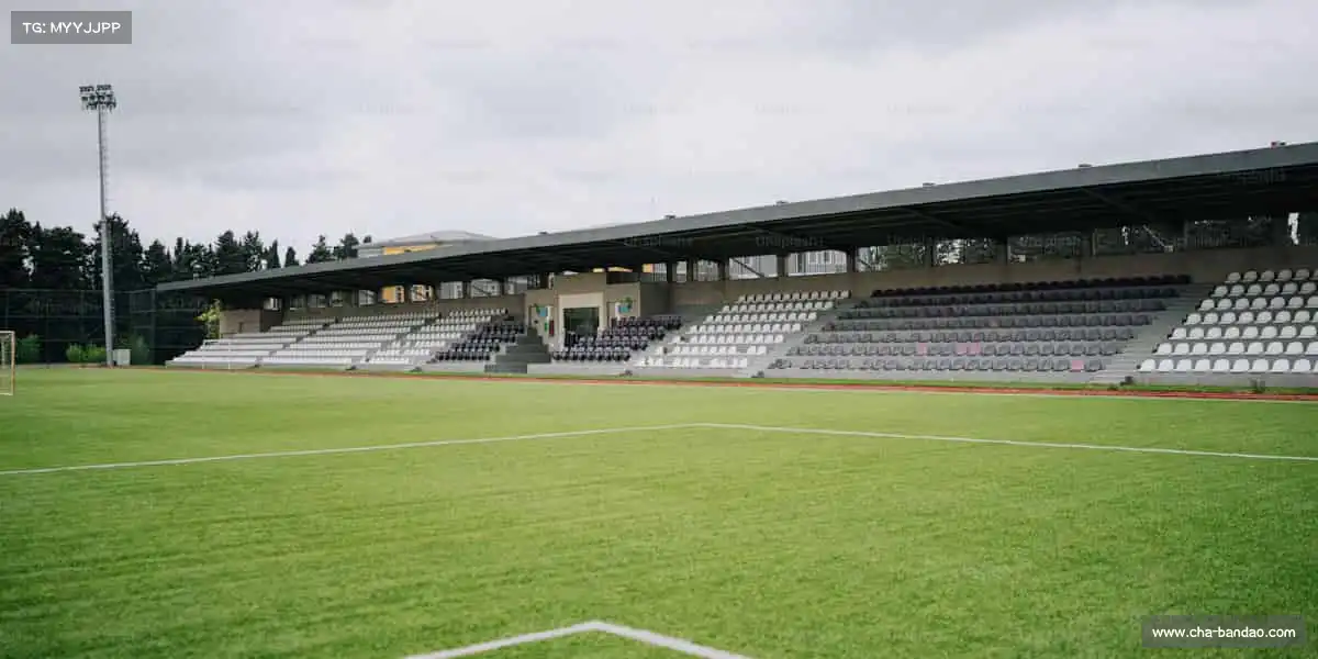 半岛体育全网入口——游戏研发,我们是认真的梦想家!🌠💻